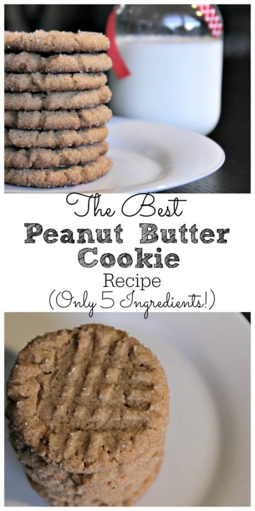 Best Peanut Butter Cookie Recipe 06